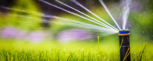 automatic sprinkler system watering the lawn on a background of