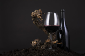 Glass of Red Wine with Vine in a Black Background