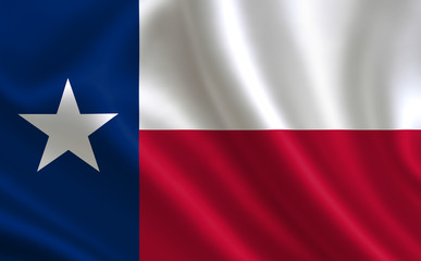 Flag of the state Texas. A series of 