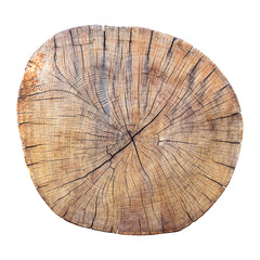 Old cracked tree trunk cross section isolated with clipping path included.