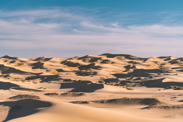Naklejka na ściany i meble dunes and sand in desert landscape