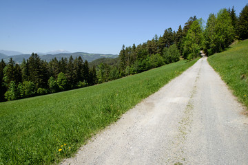 Wanderweg mit Ausblick auf Schneeberg, Österreich