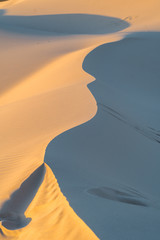 dunes and sand in desert landscape - 206272853