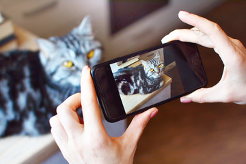 Fototapete bei efototapeten.de bestellen   