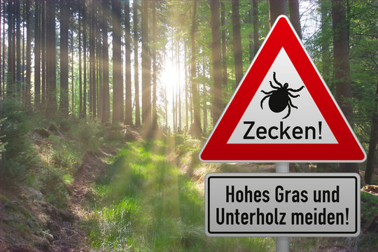 Schild warnt vor Zeckengefahr im Wald - Hintergrund mit Sonneschein