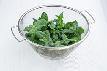 Green herbal mix of mint and melissa in strainer bowl