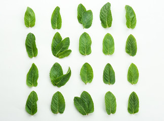 Flat lay composition with fresh mint leaves on white background