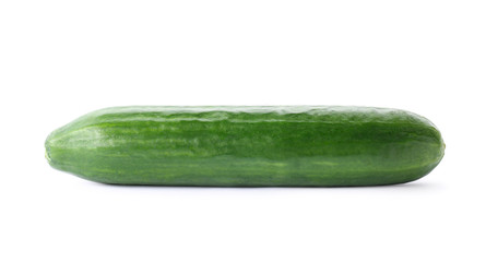 Fresh green cucumber on white background