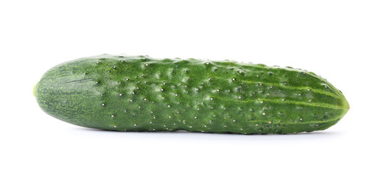 Fresh green cucumber on white background