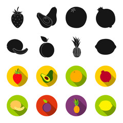 Melon, plum, pineapple, lemon.Fruits set collection icons in black,flet style vector symbol stock illustration web. © pandavector