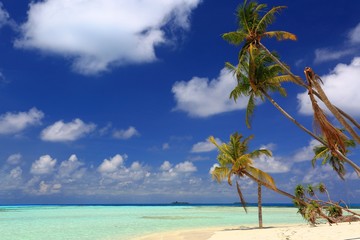 Gorgeous view of Indian Ocean, Maldives. White sand beach, turquoise water, blue sky and white clouds. Beautiful background.