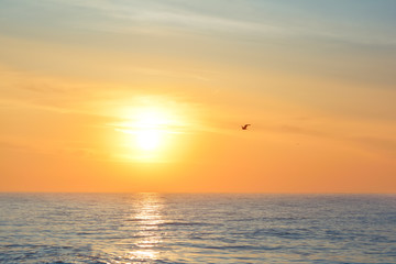 Sunrise at the sea. Seascape of the morning dawn. Early morning on the beach.