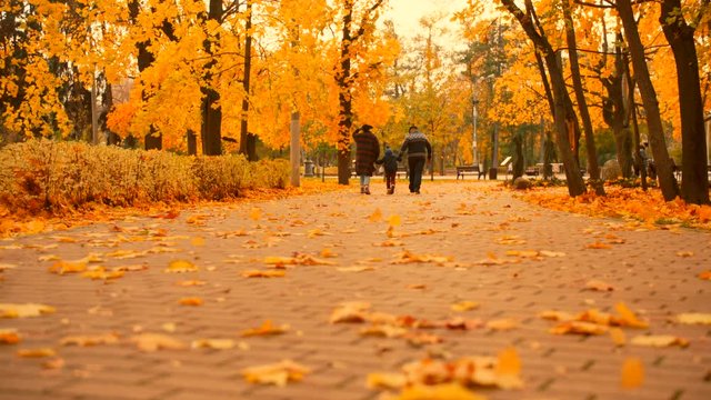 Autumn.moscow Images – Browse 39,462 Stock Photos, Vectors, and Video ...
