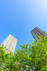 高層マンション High-rise condominium in Tokyo