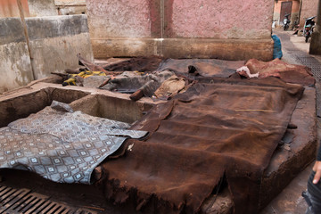 Tannery in Marrakech, Africa