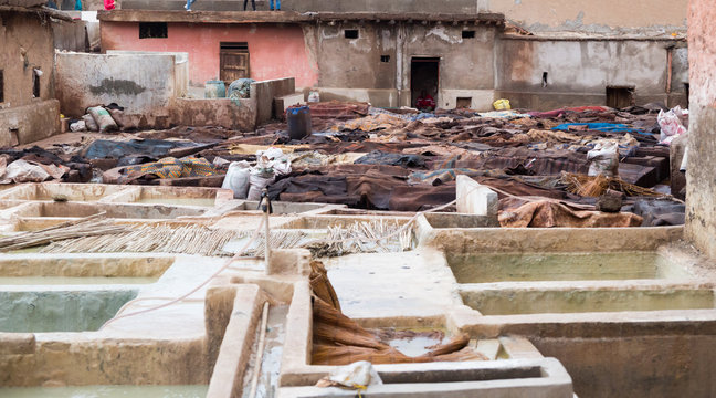 Tannery in Marrakech, Africa