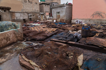 Tannery in Marrakech, Africa