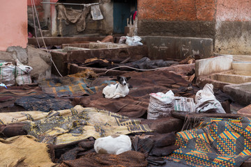 Tannery in Marrakech, Africa