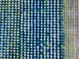 Traverse City Michigan