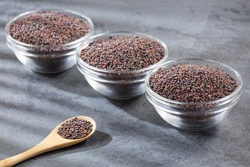 Black mustard seeds - Brassica nigra