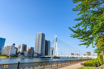 中央大橋と隅田川テラス High-rise condominium in Tokyo