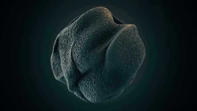 Abstract Black Textured Sponge Organic Sphere