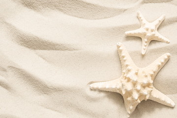 Starfish on the light sea sand. Texture of light sand. The concept of a beach holiday. Summer concept. Flat lay, top view, copy space 