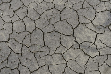 The parched soil
