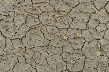 The parched soil