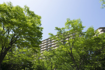 マンション・東京郊外・緑