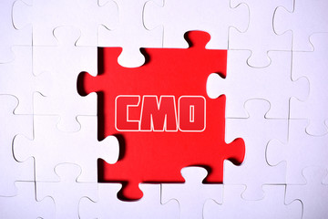 Fototapeta premium Puzzle with the word:CMO