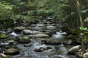 Fly Fishing in the Smokies