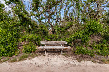 The Lone Bench