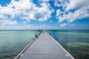 Fototapeta premium Higgs Pier at Midday