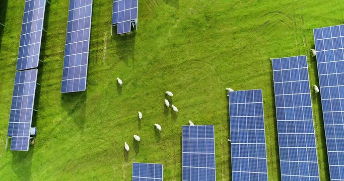 champs de panneaux solaire dans une ferme solaire