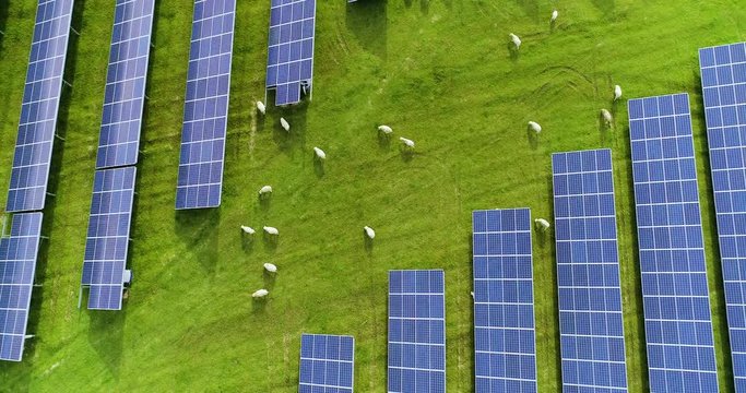 champs de panneaux solaire dans une ferme solaire
