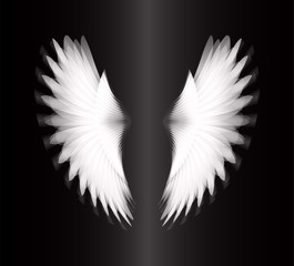 Plakat black glowing, stylized angel wings on a black background. vector