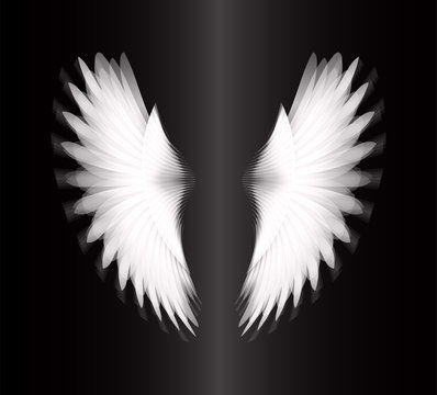 black glowing, stylized angel wings on a black background. vector