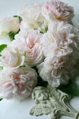 薔薇シンベリンと天使