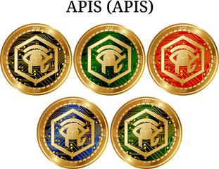 Set of physical golden coin APIS (APIS)