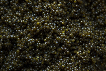 real black caviar as a background for design