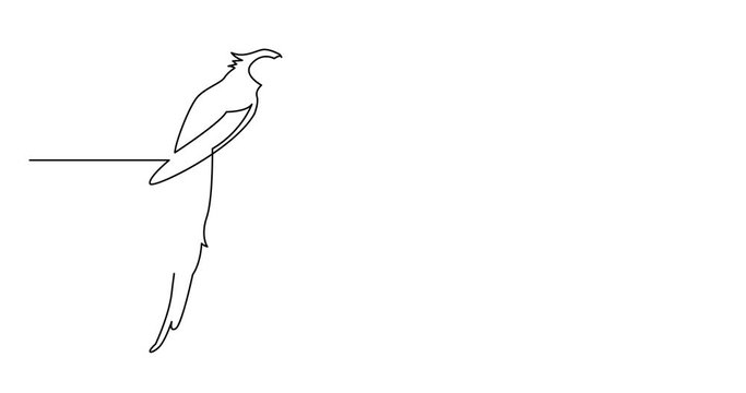 Self drawing animation of continuous line drawing of isolated vector object - parrot