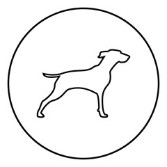 Hunter dog or gundog icon black color vector illustration simple image