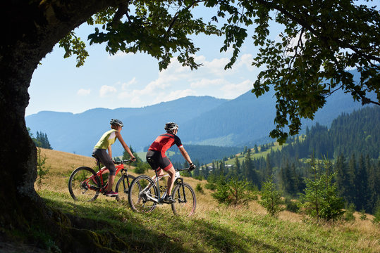 Beautiful picture of young tourist couple, man and woman in professional sportswear cycling bikes down grassy hill on magnificent blue mountain range background in oval frame of big green tree branch.