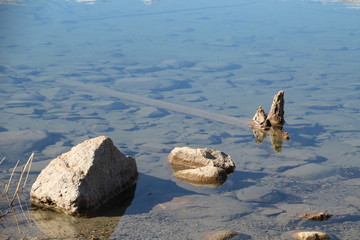 Debris In Patricia Lake, Jasper National Park, Alberta