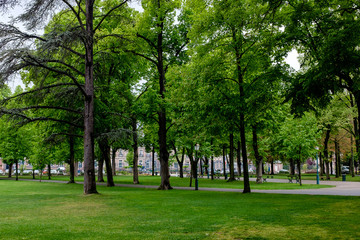 Trees in a park, cloudy day, Parque du Champs de Mars, Colmar, Alsace.