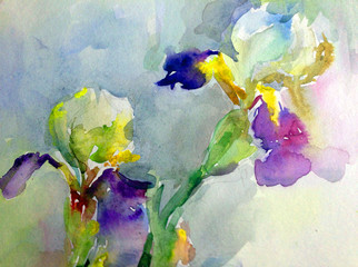 Abstract bright colored decorative background . Floral pattern handmade . Beautiful tender romantic spring bouquet of iris flowers  , made in the technique of watercolors from nature.