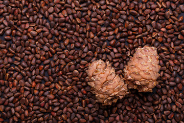 Pine nuts in shells as a background Two hole cedar cones Copy space Top view