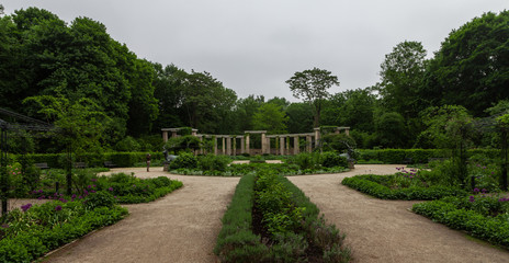 Rosengarten im Tiergarten Berlin
