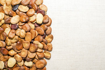 Bean seeds are laid out on a light linen fabric. Background. The place for drawing text.